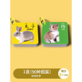 动物卡片早教认知启蒙书儿童识字宝宝看图识物幼儿数字卡玩具2430 【1盒】动物认知（90种图案）