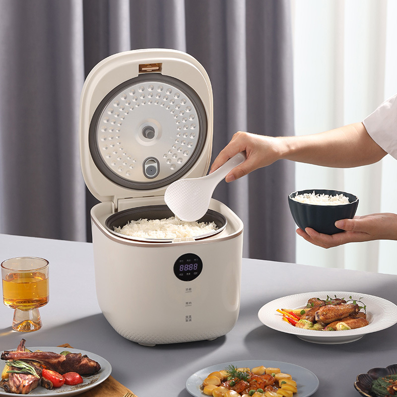 大宇 (DAEWOO) 电饭煲 DYFB-503L 星云白 3.0L高清大图