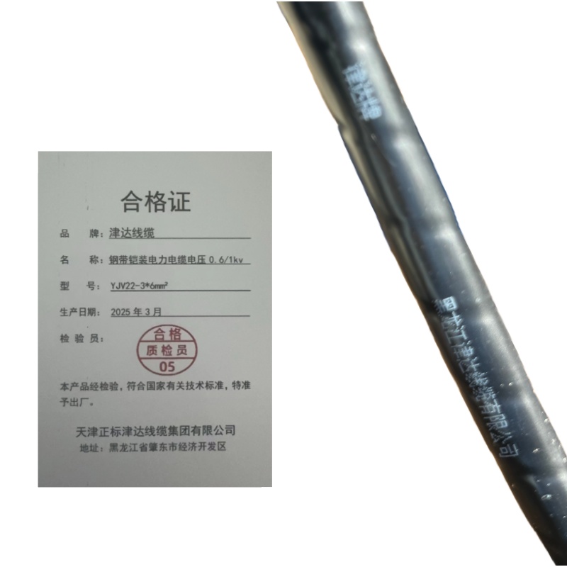 津达线缆 钢带铠装电力电缆电压0.6/1kv YJV22-3*6mm² 米高清大图