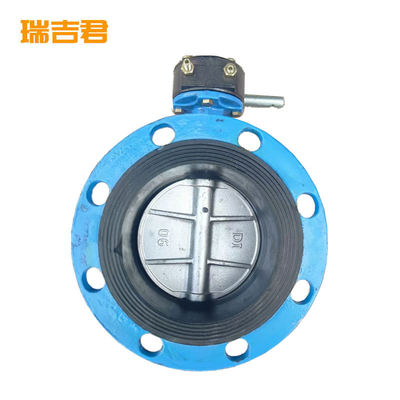 瑞吉君 法兰蝶阀 DN100