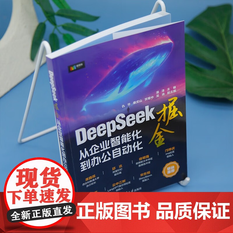 DeepSeek掘金 从企业智能化到办公自动化 潘淳 著 计算机与互联网高清大图