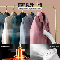 苏泊尔(SUPOR)挂烫机家用蒸汽电熨斗立式挂烫衣服手持便携式双杆可商用待熨烫板熨烫机GT11DP-20