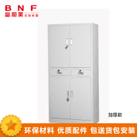 富和美(BNF)通体中二斗器械柜钢制文件柜办公抽屉铁皮柜资料柜带锁 灰白色加厚款(850L*390W*1800H)