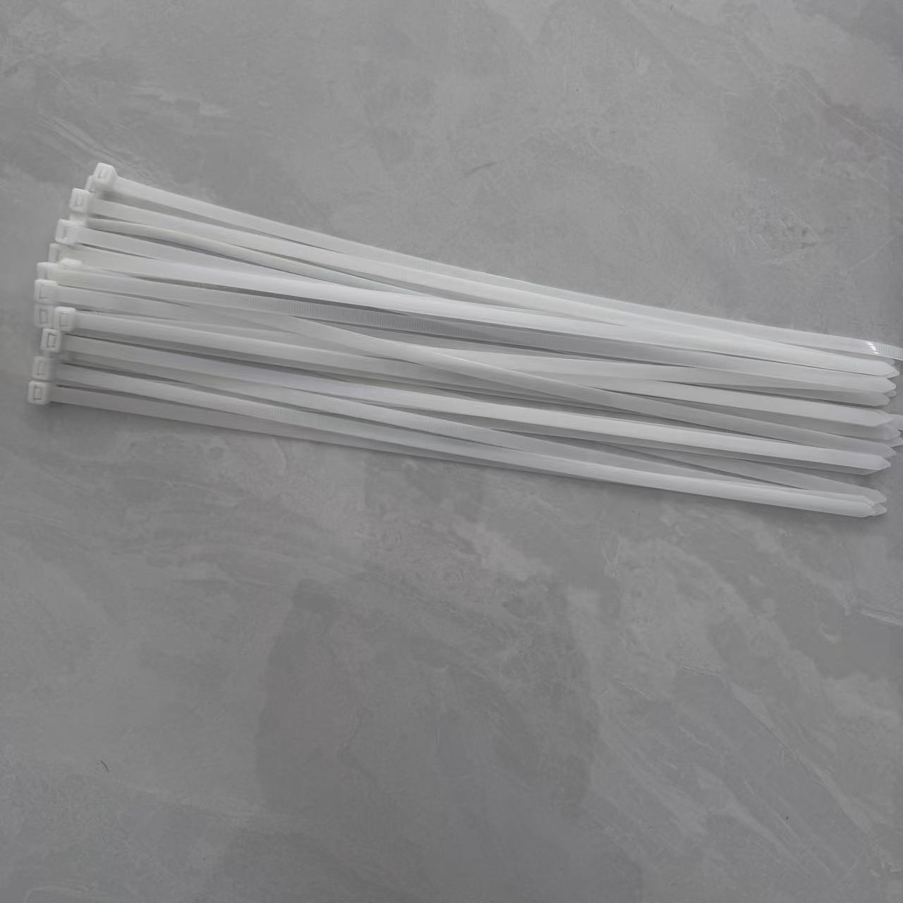 顺心捷 尼龙扎带 10×600mm 根高清大图