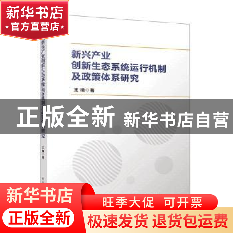 正版 新兴产业创新生态系统运行机制及政策体系研究 王楠 电子工高清大图