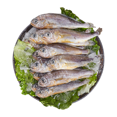 简单滋味 东海小黄鱼480g(10-12条)