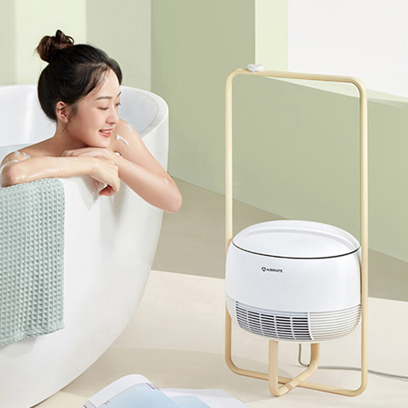 艾美特(Airmate) AIR3 烘衣取暖一体机高清大图