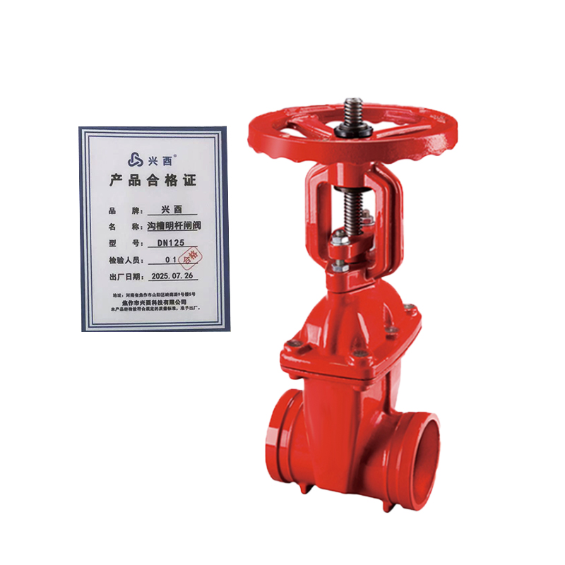 兴酉 沟槽明杆闸阀 DN125 个高清大图