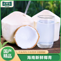 [苏鲜生]海南椰青 当季热带水果 水果椰子 4个装(2-3斤/个) 现摘现发 营养美味 清甜可口