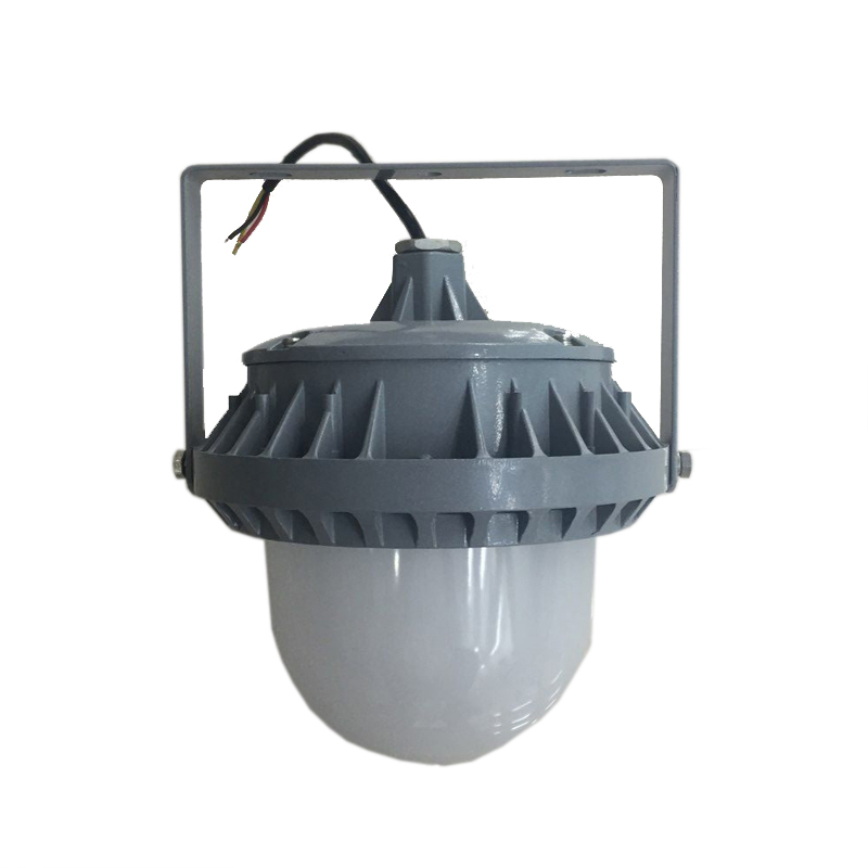 LHF2109 LED平台灯 30/50W 220V 冷光 IP65(计价单位:个)灰色