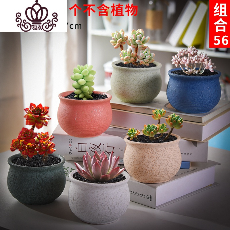 封后 Fenghou 园艺用品封后多肉花盆套装组合创意个性简约植物盆器室内肉肉花盆批发如图款式1 中等花盆 容器 价格图片品牌报价 苏宁易购战狼家居专营店