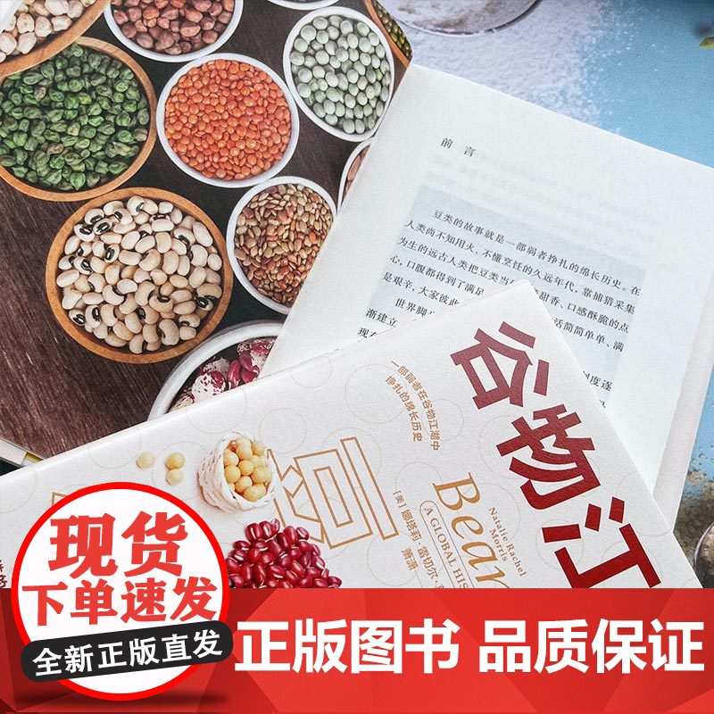 谷物江湖:豆子小史 美食文化艺术历史 食谱 中国工人出版社 豆浆豆制品菜谱高清大图