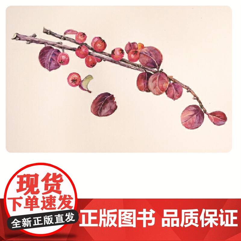 轻水彩生活书系——花草纪·折枝高清大图