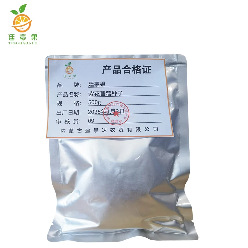 廷豪果 紫花苜蓿种子 四季牧草种子 500g/袋高清大图