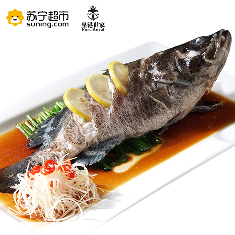 冰鲜 海南龙胆石斑鱼 600g 1条 海鲜水产