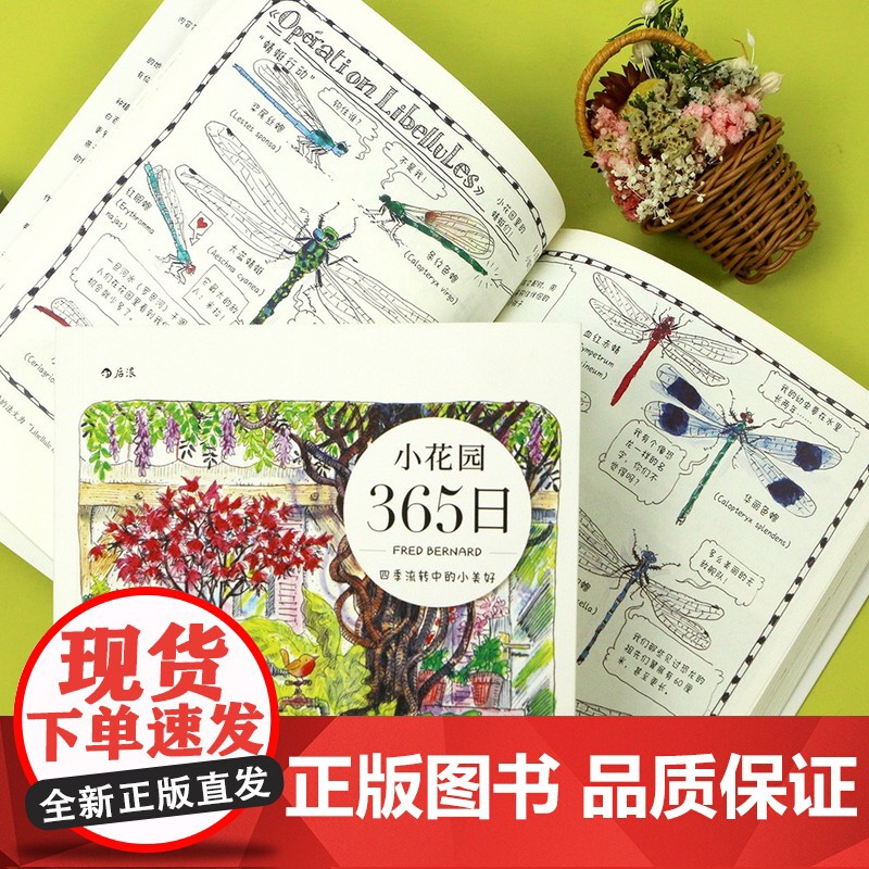 小花园365日 水彩手绘手账 养花观鸟生活美学绘本礼物书 艺术绘画书籍高清大图