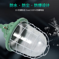防爆LED灯 220V 60W