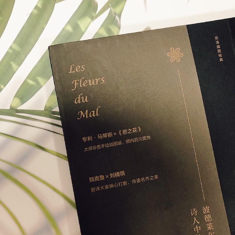 [正版]书店 恶之花:插图珍藏版 郑克鲁刘楠祺译 野兽派绘画配图 法国象征主义诗歌外国文学高清大图