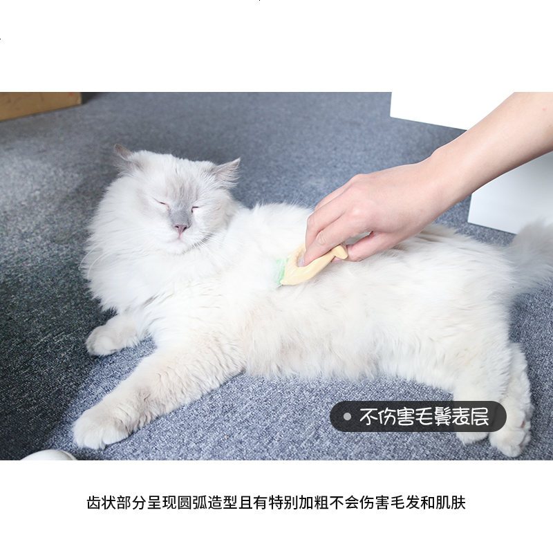 原装贝壳梳狗狗猫咪贝壳梳针梳去毛梳除死毛浮毛