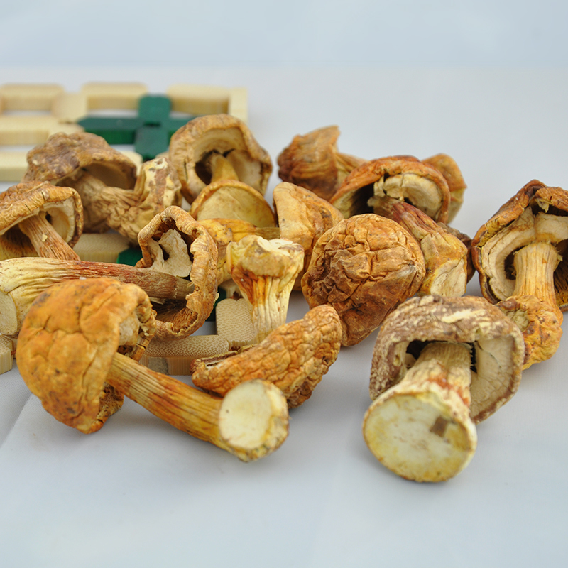 秦川印象姬松茸120g/罐高清大图