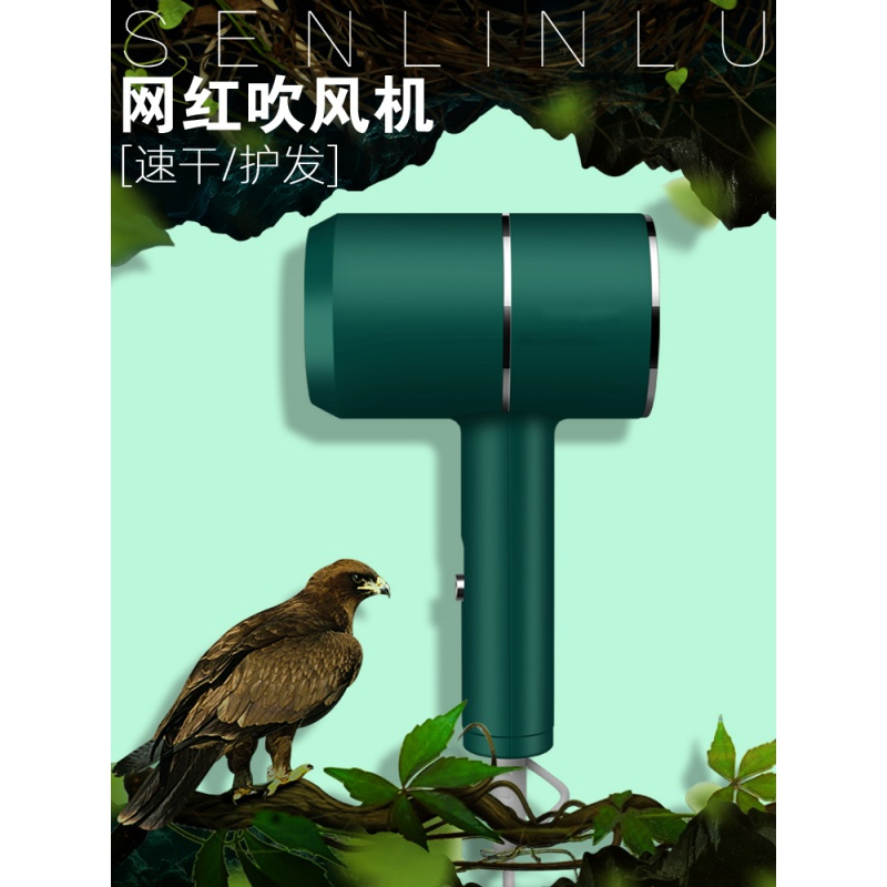 电吹风机宿舍用学生小功率500w800w1000家用负离子小型吹风筒