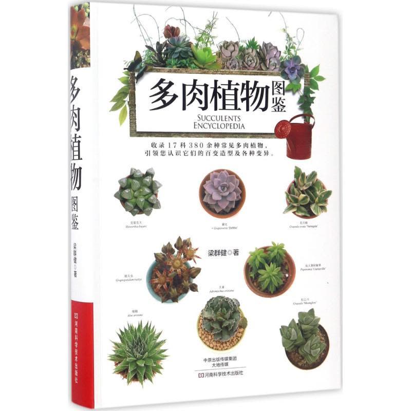 多肉植物图鉴图片