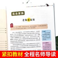 法布尔原著正版昆虫记四年级课外书小学生三五六年级必读文学书籍 昆虫记 青少版