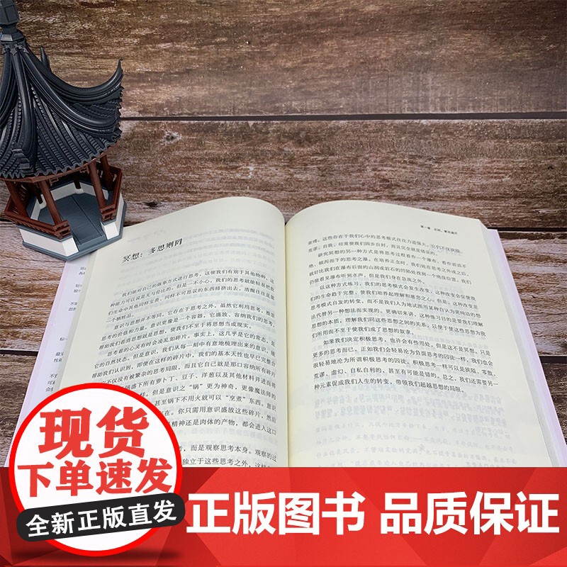 正念 此刻是一枝花 乔·卡巴金 著 心理学高清大图