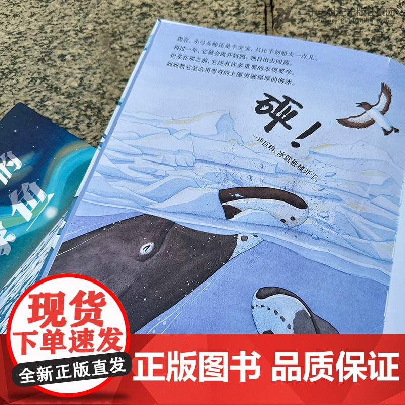 游过时间的鲸鱼 3-6-8岁给孩子的自然和生命教育绘本诉说生命的坚韧与珍贵2023年美国科学教师协会“优秀青少年科普图书高清大图