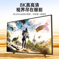 毕亚兹(BIAZE)zh216-3m Micro HDMI转 HDMI2.1连接线3米(单位:个)