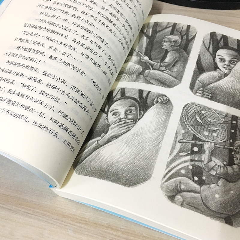 [正版]寻找鱼王 书张炜著茅盾文学奖获奖作家儿童文学作品 儿童文学小学生课外读物三四五六年级青少年成长励志故事书籍明天出高清大图