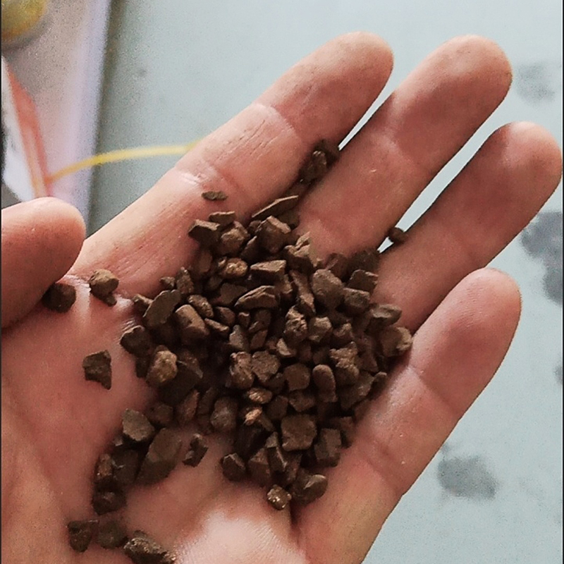 洋蝲蝲 锰砂 每颗长8-16mm 单位:千克高清大图