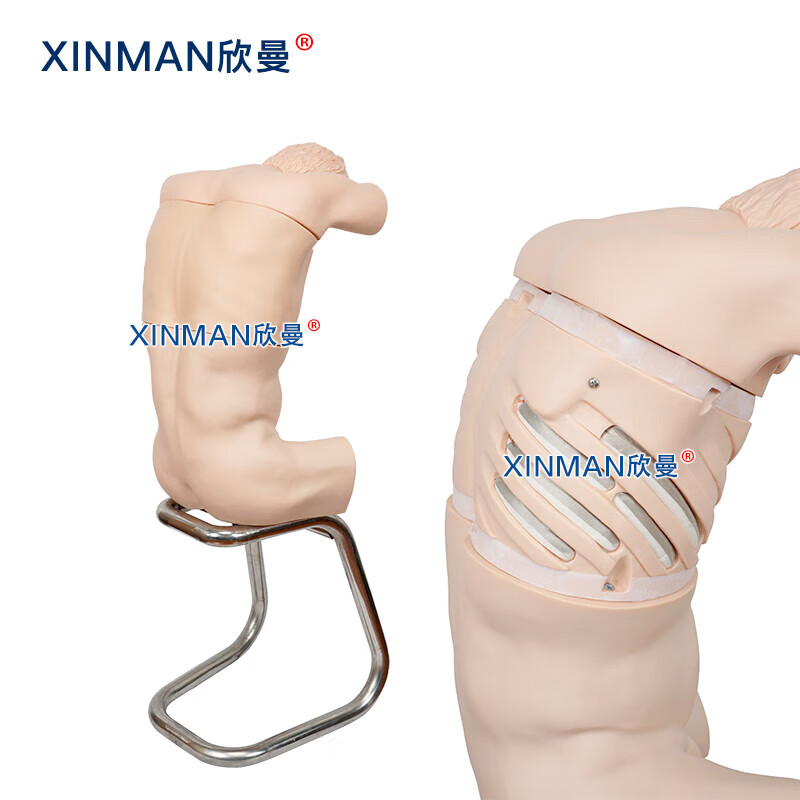 欣曼科教 胸腔背部穿刺训练模拟人 胸腔穿刺操作模型XM-LXQA高清大图