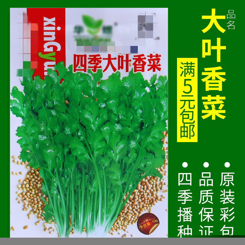 【补贴10%】蔬菜种子四季播盆栽阳台庭院辣椒番茄甜瓜黄瓜简单秋易种籽孑大全 四季香菜约500粒 均码