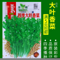 蔬菜种子四季播盆栽阳台庭院辣椒番茄甜瓜黄瓜简单秋易种籽孑大全 均码 四季香菜约500粒