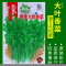[补贴10%]蔬菜种子四季播盆栽阳台庭院辣椒番茄甜瓜黄瓜简单秋易种籽孑大全