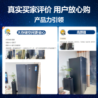 统帅(leader)海尔出品 538升对开门冰箱 DEO净味 一级双变频 超薄嵌入冰箱 BCD-538WGLSSEDBX