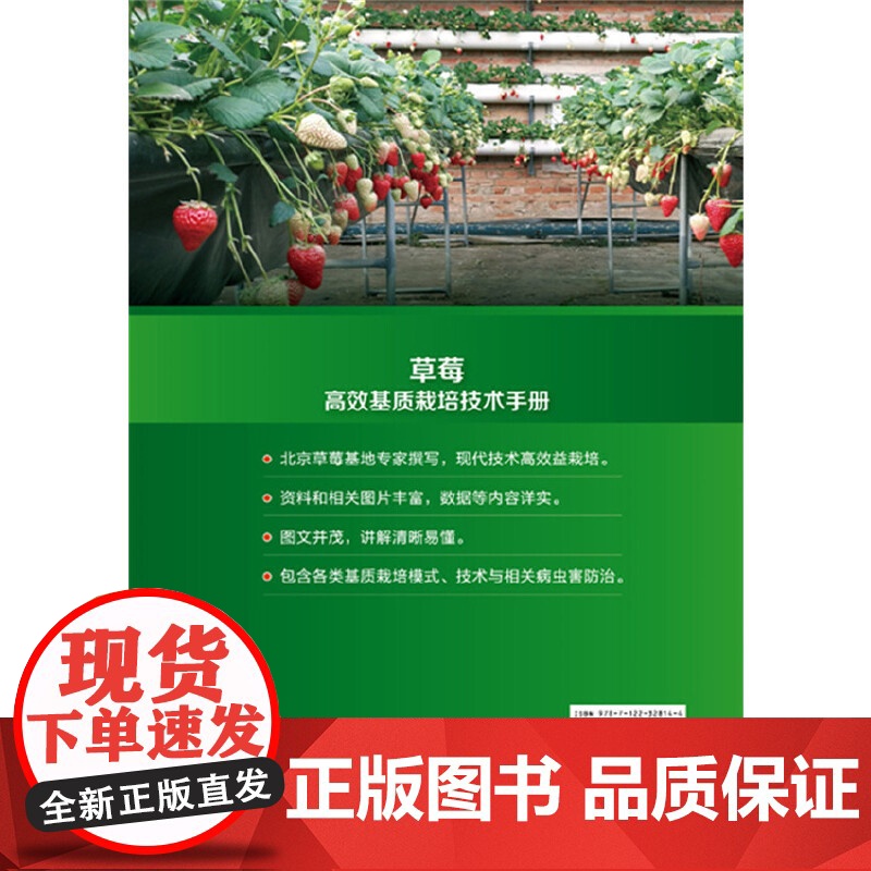 草莓高效基质栽培技术手册 路河 化学工业出版社 正版书籍高清大图