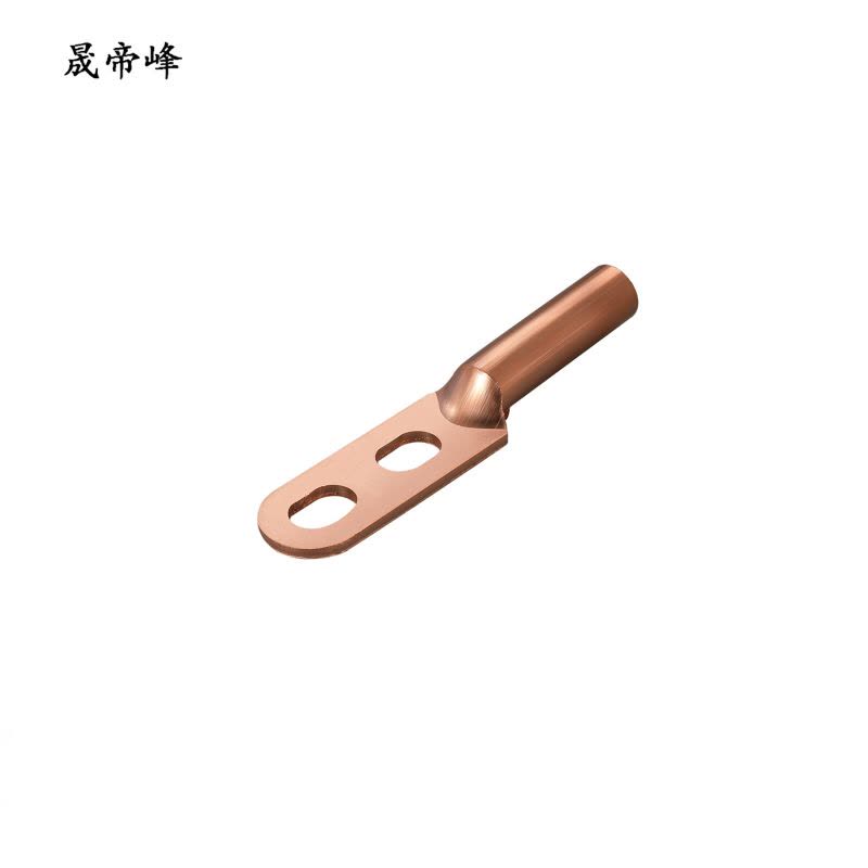 晟帝峰 双孔铜线鼻子 DTS-50 个图片