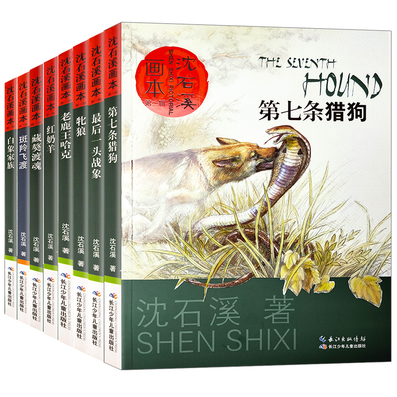 疤脸狮王 [正版]沈石溪系列画本中外动物小说大王经典品藏书系列后一头战象斑羚飞渡第七条猎狗红奶羊白象家族小学生四五六年级