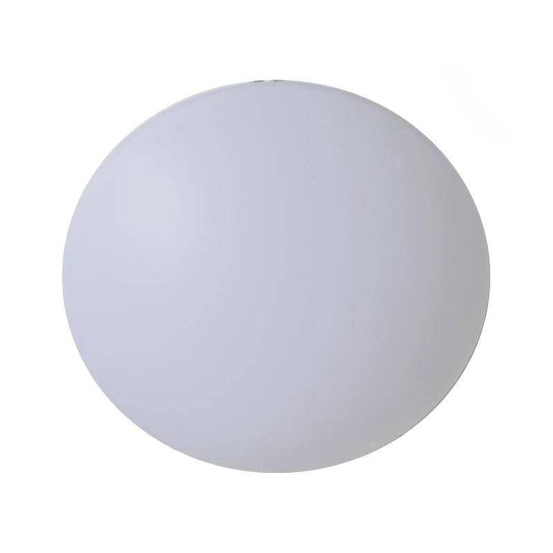 工霸 吸顶灯 φ30cm 24W 1个