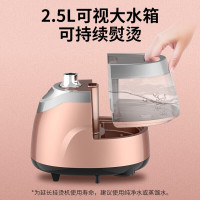 海尔(Haier)挂烫机HGS-2510B 香槟金 家用蒸汽电熨斗 大功率小型立式手持 迷你熨烫衣服