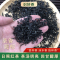 山海风物志日照红茶经典浓香型功夫茶北方茶香气高50g*3包简装 便携 核心产区原产地发货