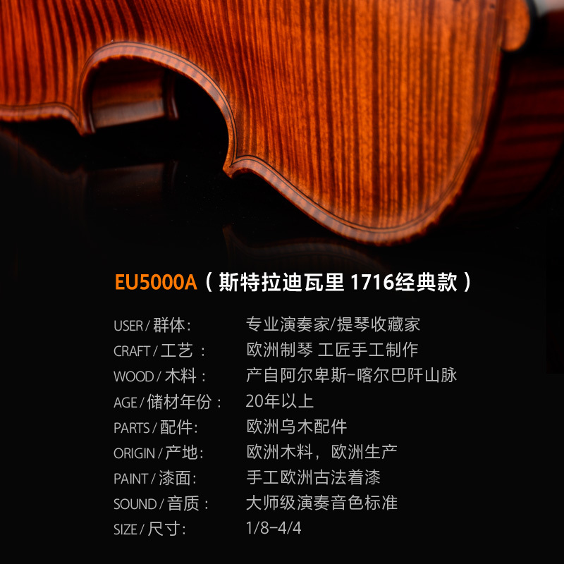 Christina克莉丝蒂娜整琴欧洲制作原装进口EU5000A大师小提琴专业舞台演奏考级成人学生收藏乐器