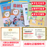 教材解读六年级上册语文数学2019秋新版RJ人教版 部编版小学六年级上册语文教材全解同步教辅导资料书 人民教育出版社配套