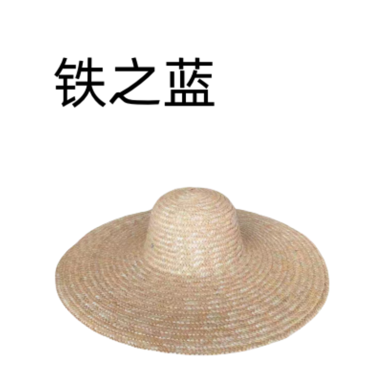 大檐边草帽LT高清大图