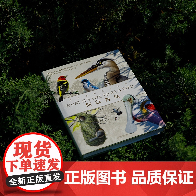 何以为鸟+中国鸟类观察手册 两册套装鸟类书籍科普读物中国国家地理高清大图