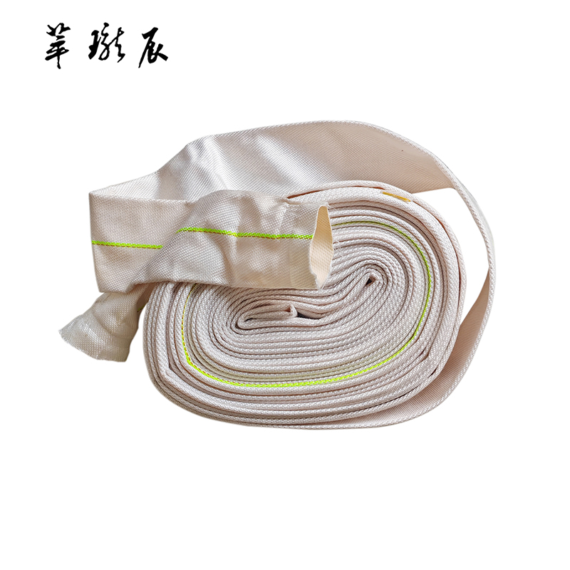 萃珑辰 帆布输水带 直径100mm 米