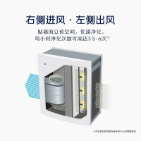 布鲁雅尔 瑞典家用空气净化器 403 有效除PM2.5雾霾甲醛
