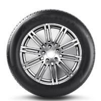 双星轮胎 215/55R17 98V DS810 适用标致407比亚迪M6帕萨特探歌凯美瑞